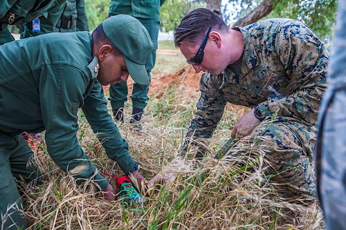 AFRICOM in 2019: Strengthening partnerships while countering threats, malign actors