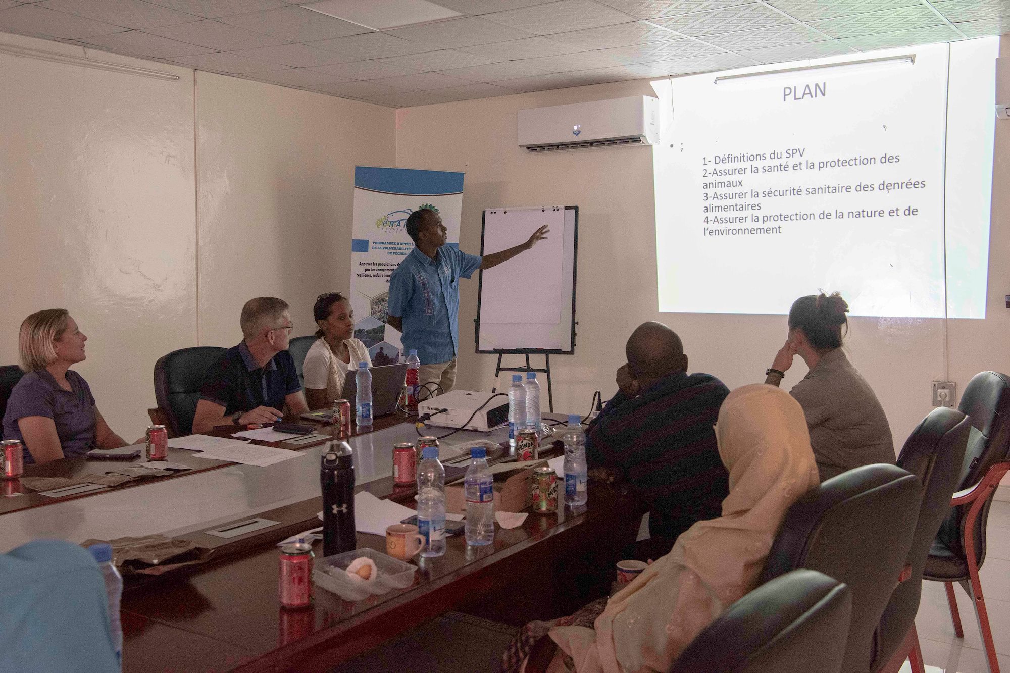 411th CAB veterinarians host seminar for Djiboutian veterinarians and sanitary inspectors