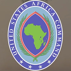 Civilian Casualty Report and Allegations