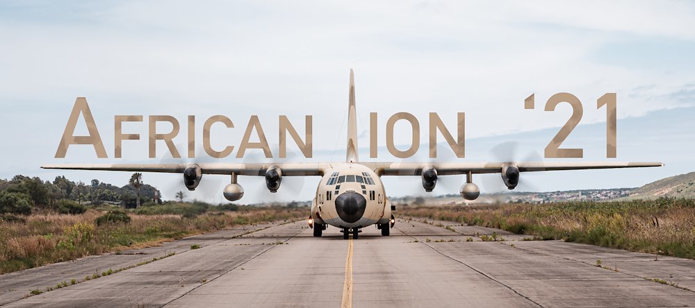 African Lion 21