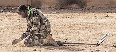 USAF explosive ordnance disposal technicians conduct joint training with Nigerien Armed Forces