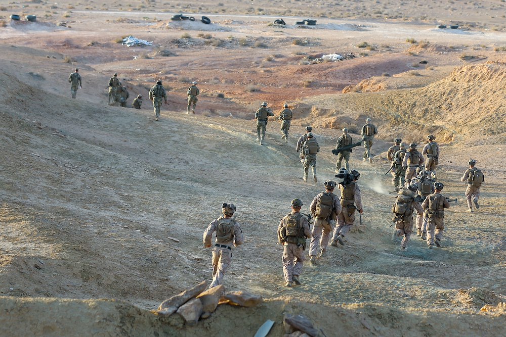 U.S. Army Southern European Task