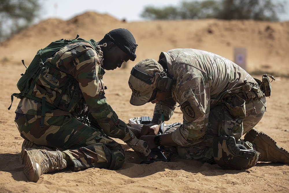 U.S. Army Southern European Task