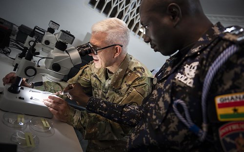 Africa Malaria Task Force focuses on new emerging threats from Africa’s top killer