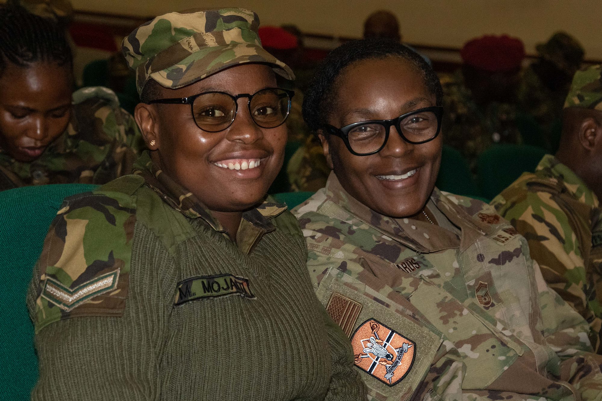 U.S. Army Southern European Task