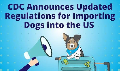 PCS-ing to the U.S. with Pets
